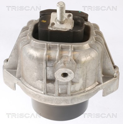 Mounting, engine TRISCAN 850511110