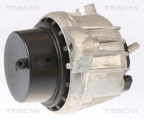 Mounting, engine TRISCAN 850511110 2