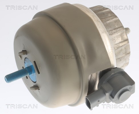 Mounting, engine TRISCAN 850529141