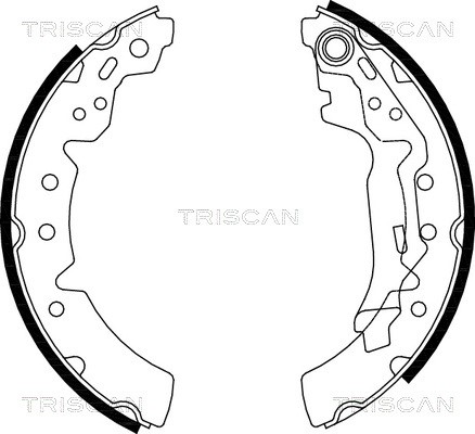 Brake Shoe Set TRISCAN 810013031
