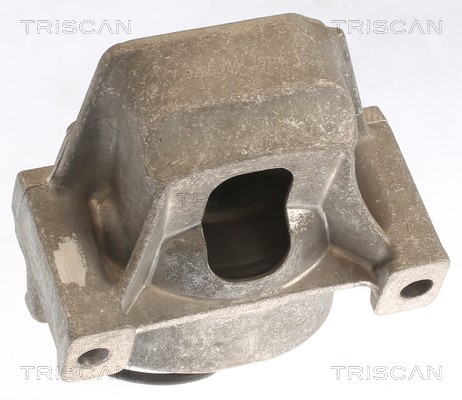 Mounting, engine TRISCAN 850529196
