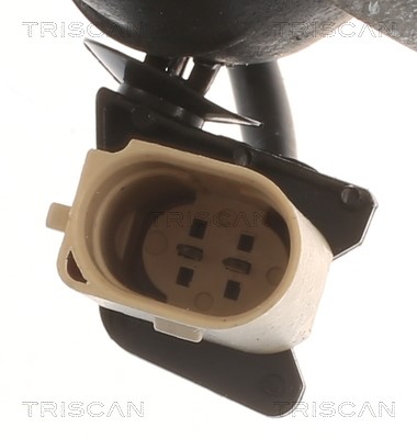 Mounting, engine TRISCAN 850529196 2