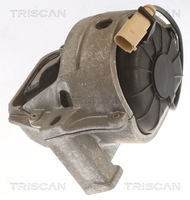 Mounting, engine TRISCAN 850529196 3