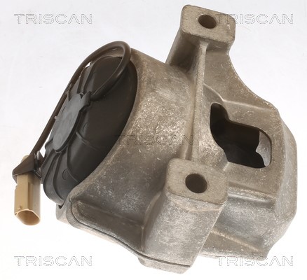 Mounting, engine TRISCAN 850529196 4