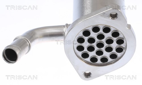 Cooler, exhaust gas recirculation TRISCAN 881310112 2