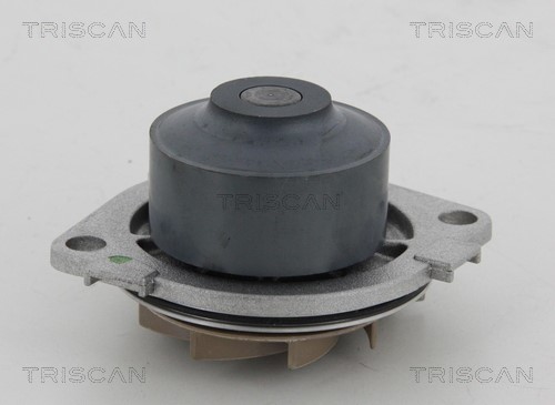 Water Pump, engine cooling TRISCAN 860015013
