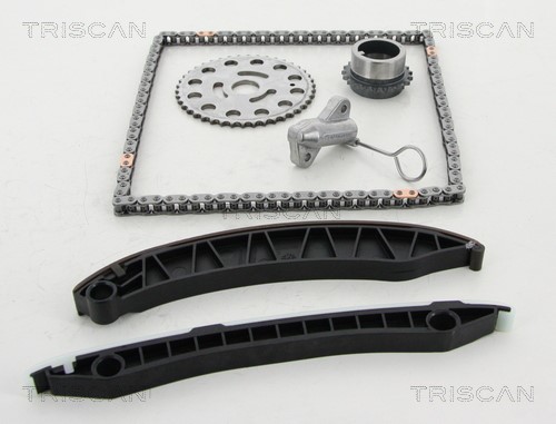 Timing Chain Kit TRISCAN 865010014