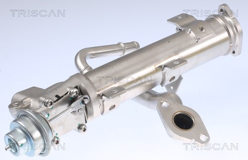 Cooler, exhaust gas recirculation TRISCAN 881329329 5