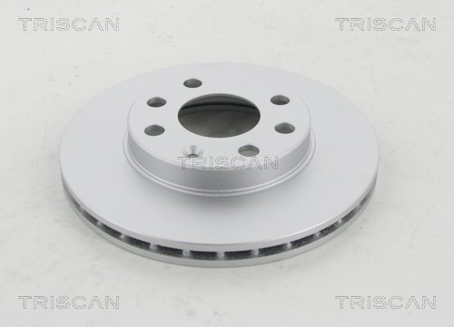 Brake Disc TRISCAN 812024101C
