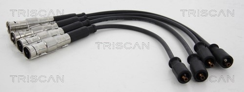 Ignition Cable Kit TRISCAN 886023012