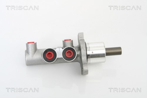 Brake Master Cylinder TRISCAN 813010116