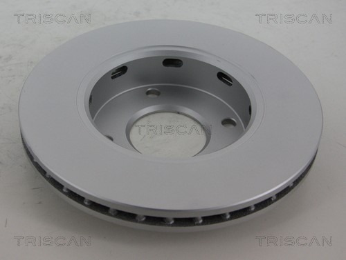 Brake Disc TRISCAN 812010187C 2