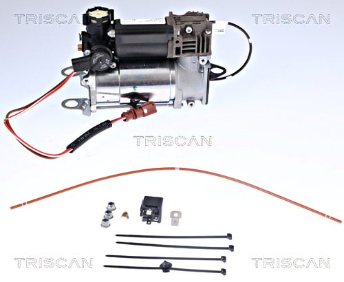Compressor, compressed air system TRISCAN 872529101 2