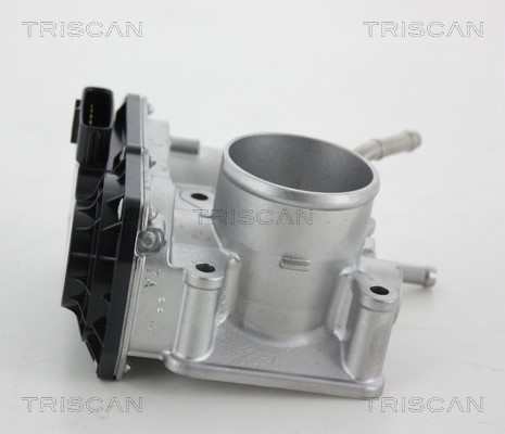 Throttle Body TRISCAN 882013002 3