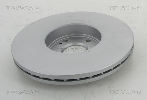 Brake Disc TRISCAN 812025139C 2