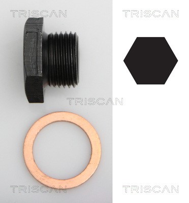Screw Plug, oil sump TRISCAN 95002701