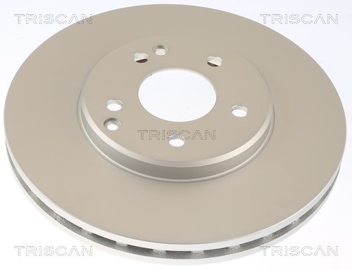 Brake Disc TRISCAN 812023178C