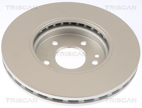 Brake Disc TRISCAN 812023178C 2