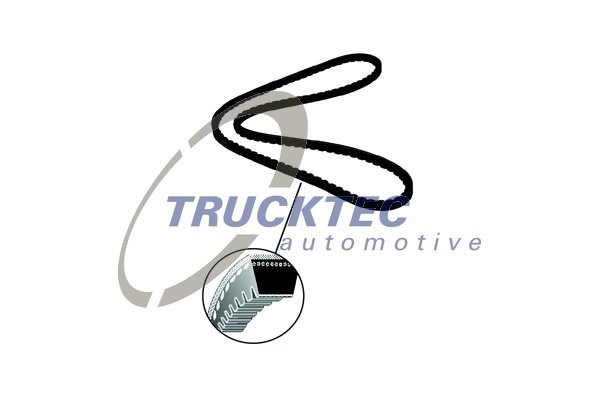 V-Belt TRUCKTEC AUTOMOTIVE 0319009