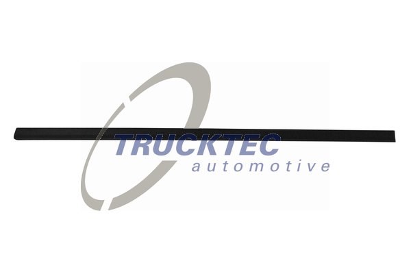 Trim/Protection Strip, door TRUCKTEC AUTOMOTIVE 0862902