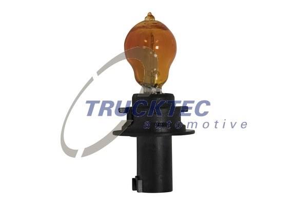 Bulb, direction indicator/end outline marker light TRUCKTEC AUTOMOTIVE 0258447