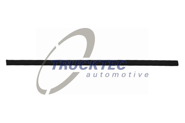 Trim/Protection Strip, door TRUCKTEC AUTOMOTIVE 0862903