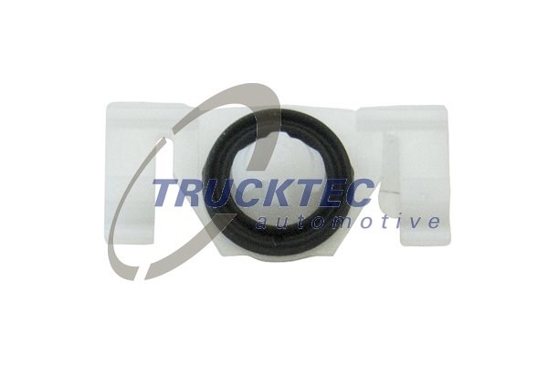 Clip, trim/protection strip TRUCKTEC AUTOMOTIVE 0267224