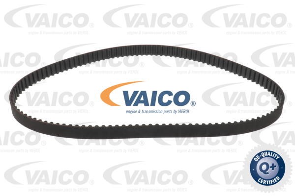 Water Pump & Timing Belt Kit VAICO V25-50040-BEK 6
