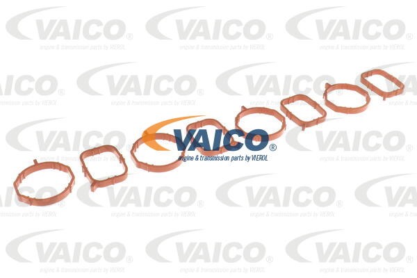 Intake Manifold Module VAICO V10-6484 2