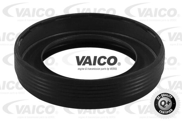 Timing Chain Kit VAICO V10-10004 5