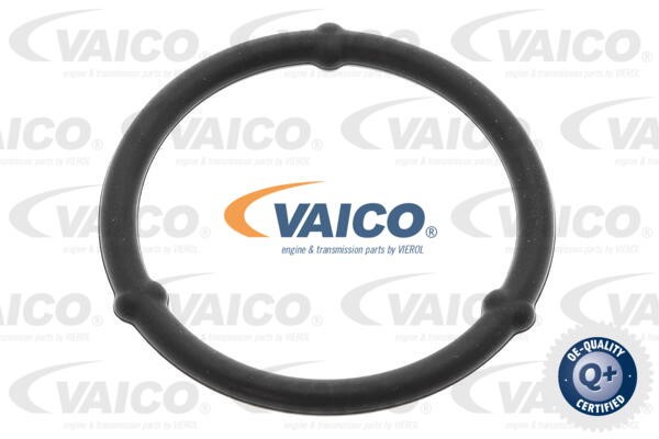 Repair Kit, oil sump VAICO V30-3175 5