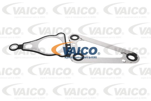 Timing Chain Kit VAICO V25-10006 4
