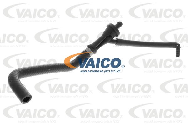 Hose, crankcase ventilation VAICO V20-3116