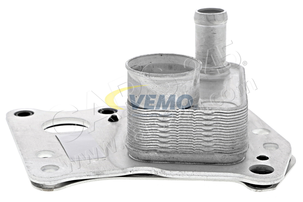 Oil Cooler, engine oil VEMO V30-60-0008