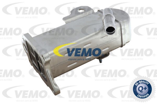 Cooler, exhaust gas recirculation VEMO V22-63-0031 2