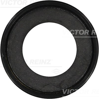 Shaft Seal, automatic transmission VICTOR REINZ 813802700