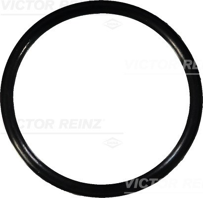 Seal Ring VICTOR REINZ 407636700
