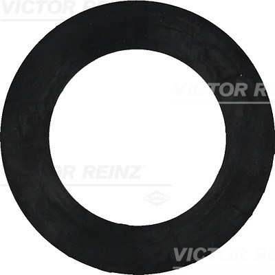 Seal Ring VICTOR REINZ 407740800
