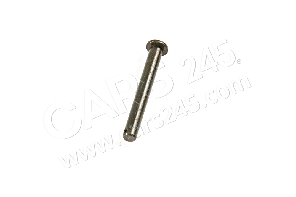 Hinge pin Volkswagen Classic 183823307 2
