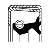 Shaft Seal, wheel hub CORTECO 19015050B