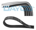 V-Ribbed Belt DAYCO 4PK800