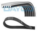 V-Ribbed Belt DAYCO 5PK673