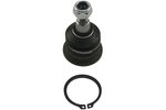 Ball Joint KAVO PARTS SBJ-3035