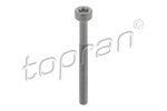 Screw, injection nozzle holder TOPRAN 410287