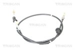 Cable Pull, clutch control TRISCAN 814028260
